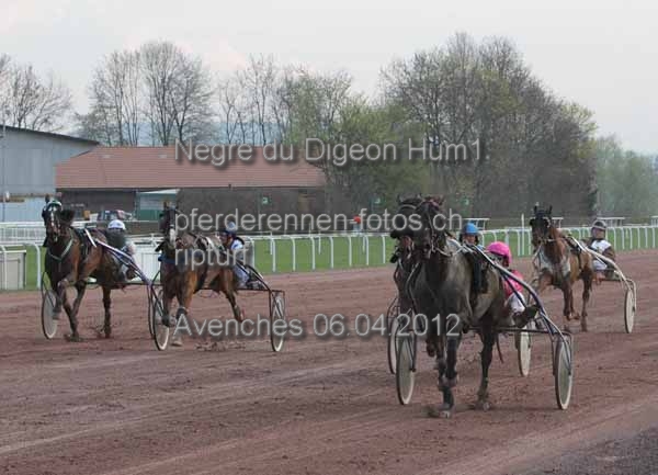 Negre du Digeon Hum1 prot